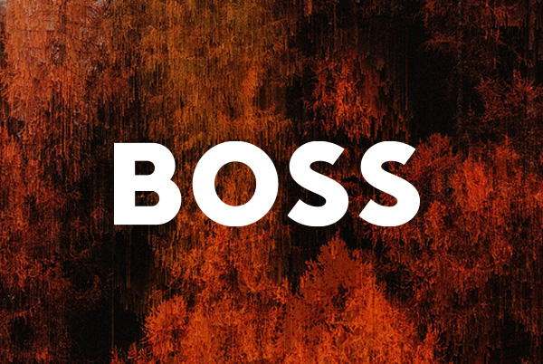 BOSS Sale