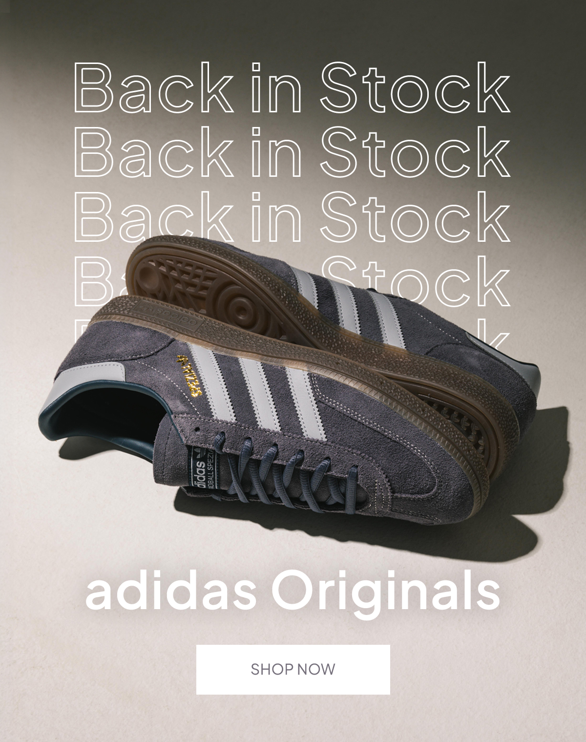 Back in Stock Adidas